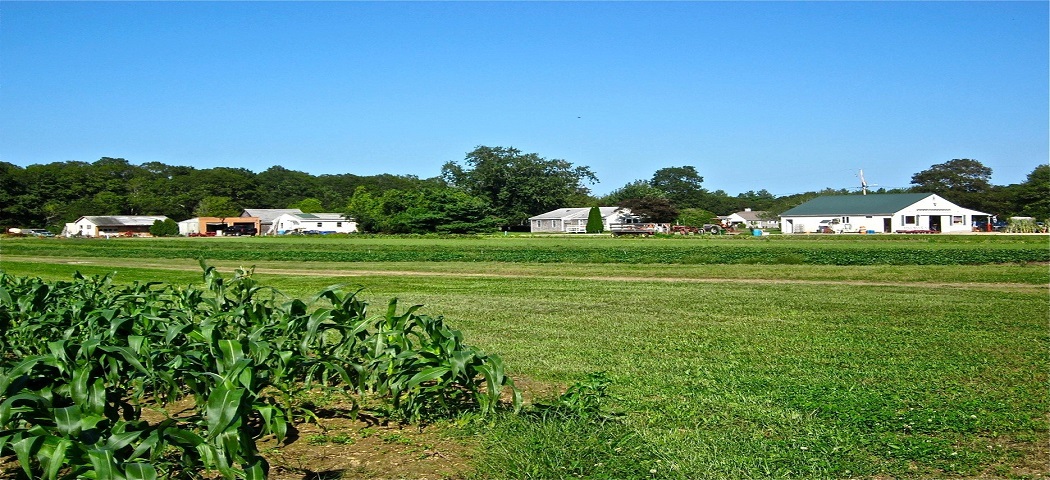 Andrews Farm