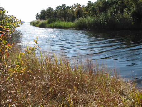 Coonamessett River:Great Pond Estuary