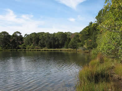 Caleeb's Pond