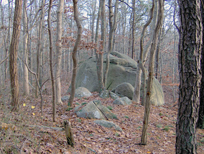 Beebe Woods boulders