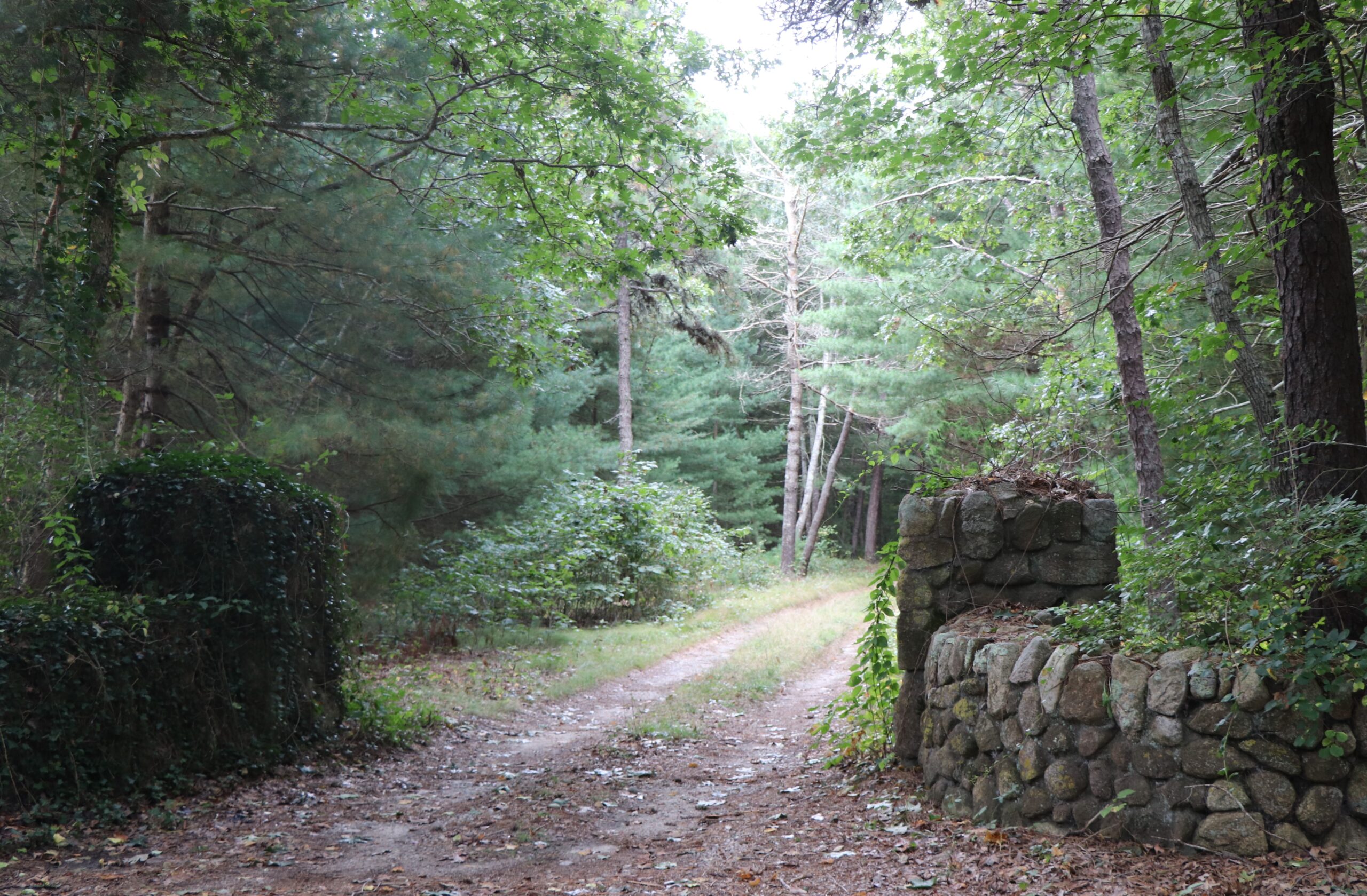 Following requests from neighbors, discussions are underway for how to minimize changes to the driveway entrance and the stone structures flaking the drive. Habitat is not proposing any road changes, such as sidewalks or widening.