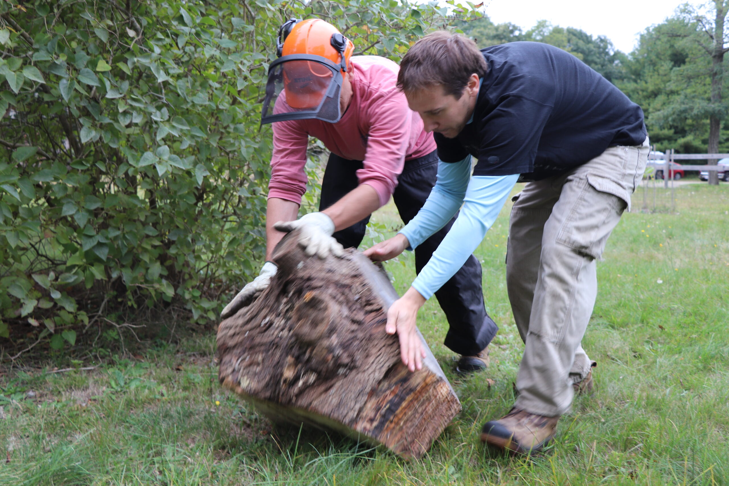 Barry Good (left) and Will Poirier roll a cut stump off the Riverbend property.