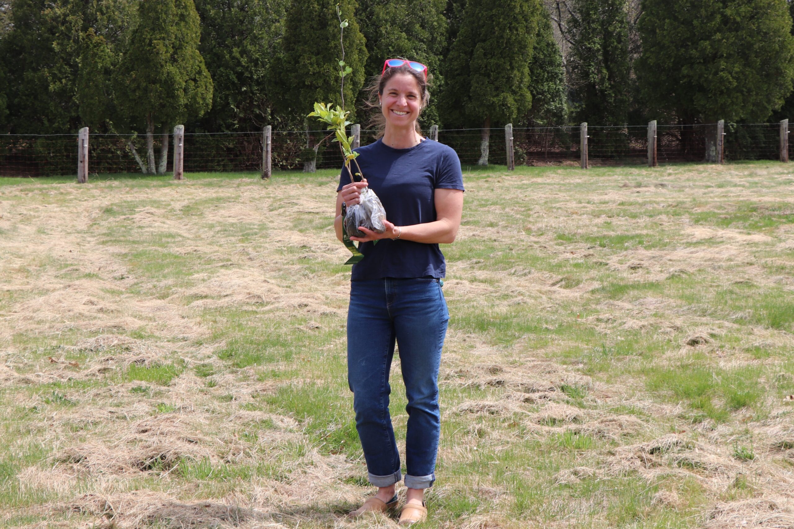 Alyssa Marzot 042525 Alyssa Marzot took a holly, redbud and tulip tree.