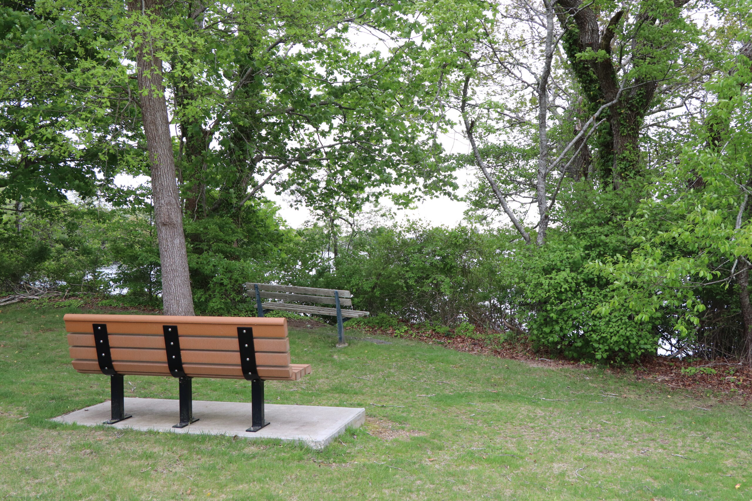 Lewis Park Lewis Park