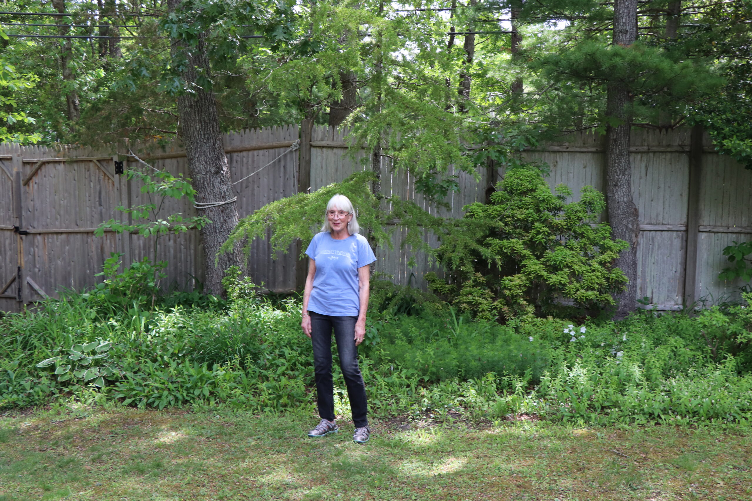 T3C volunteer Marcy Klattenberg's backyard is dripping with the insects. 