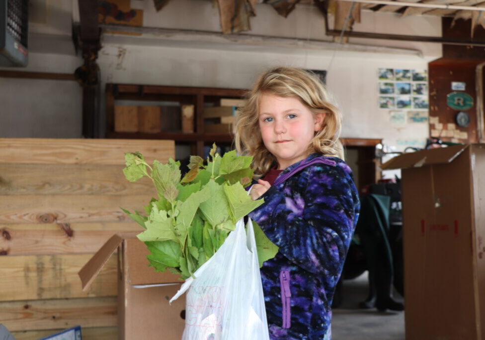 Our 40th Anniversary tree giveaway was a huge success, with over 200 trees distributed!