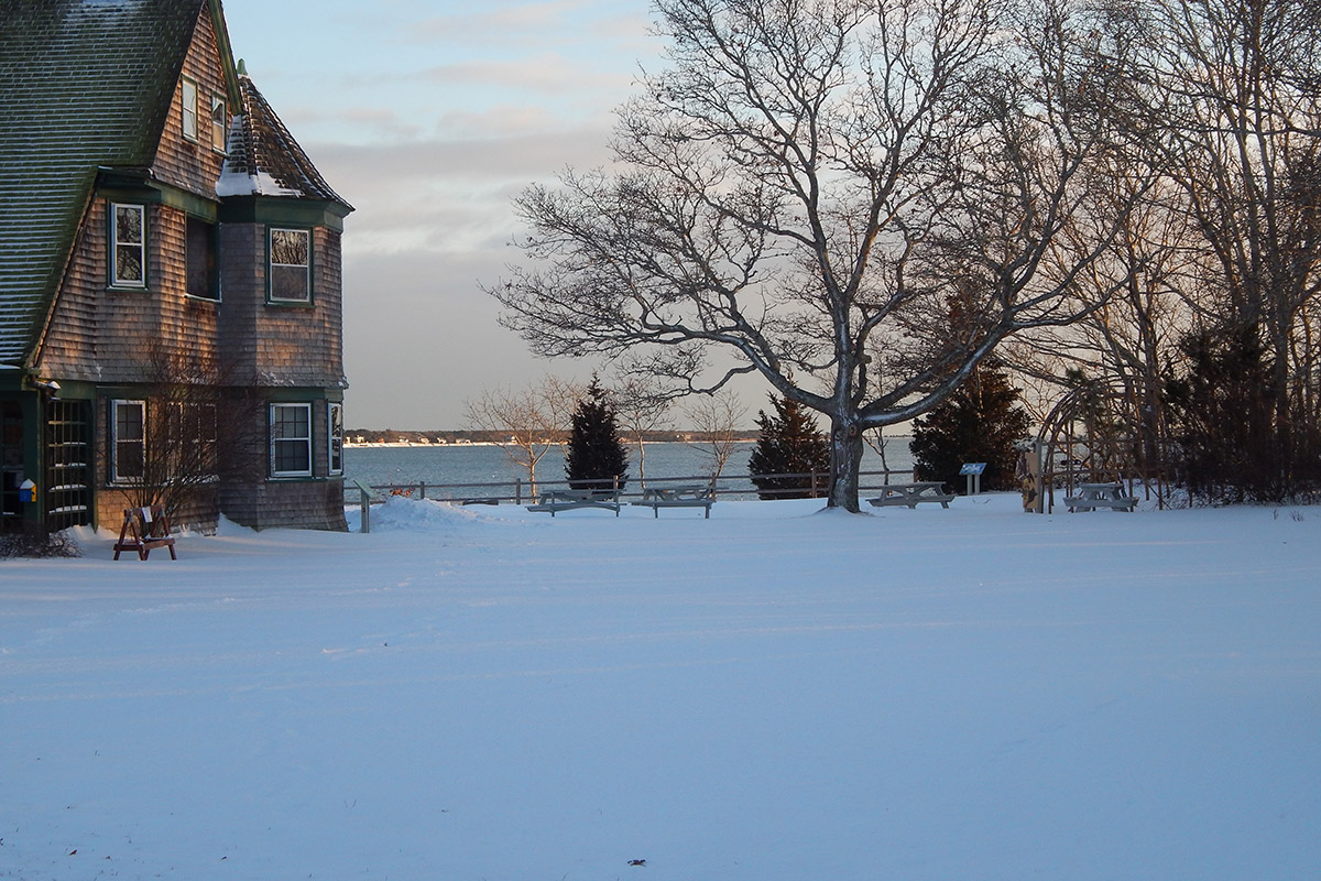 Escape to Waquoit Bay: Where Nature's Beauty Meets Scientific Wonder