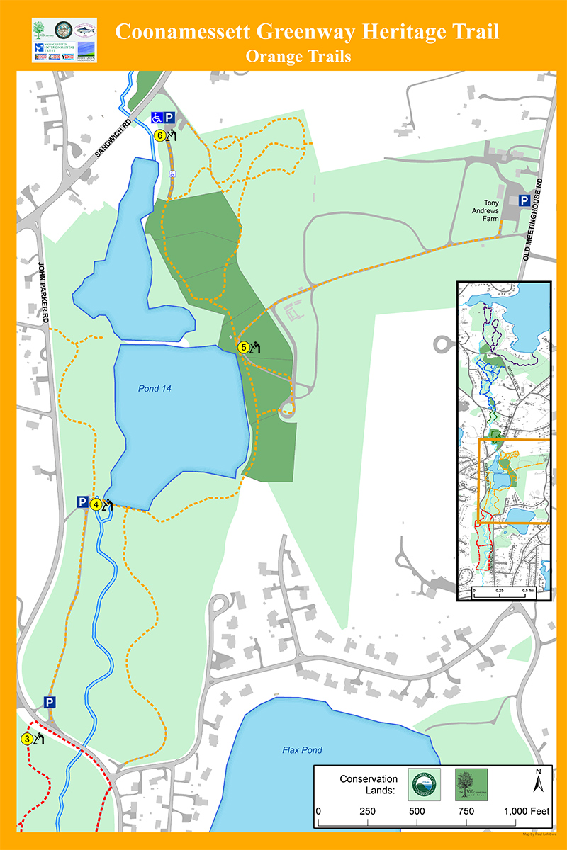 Coonamessett Greenway Heritage Trail – The 300 Committee Land Trust