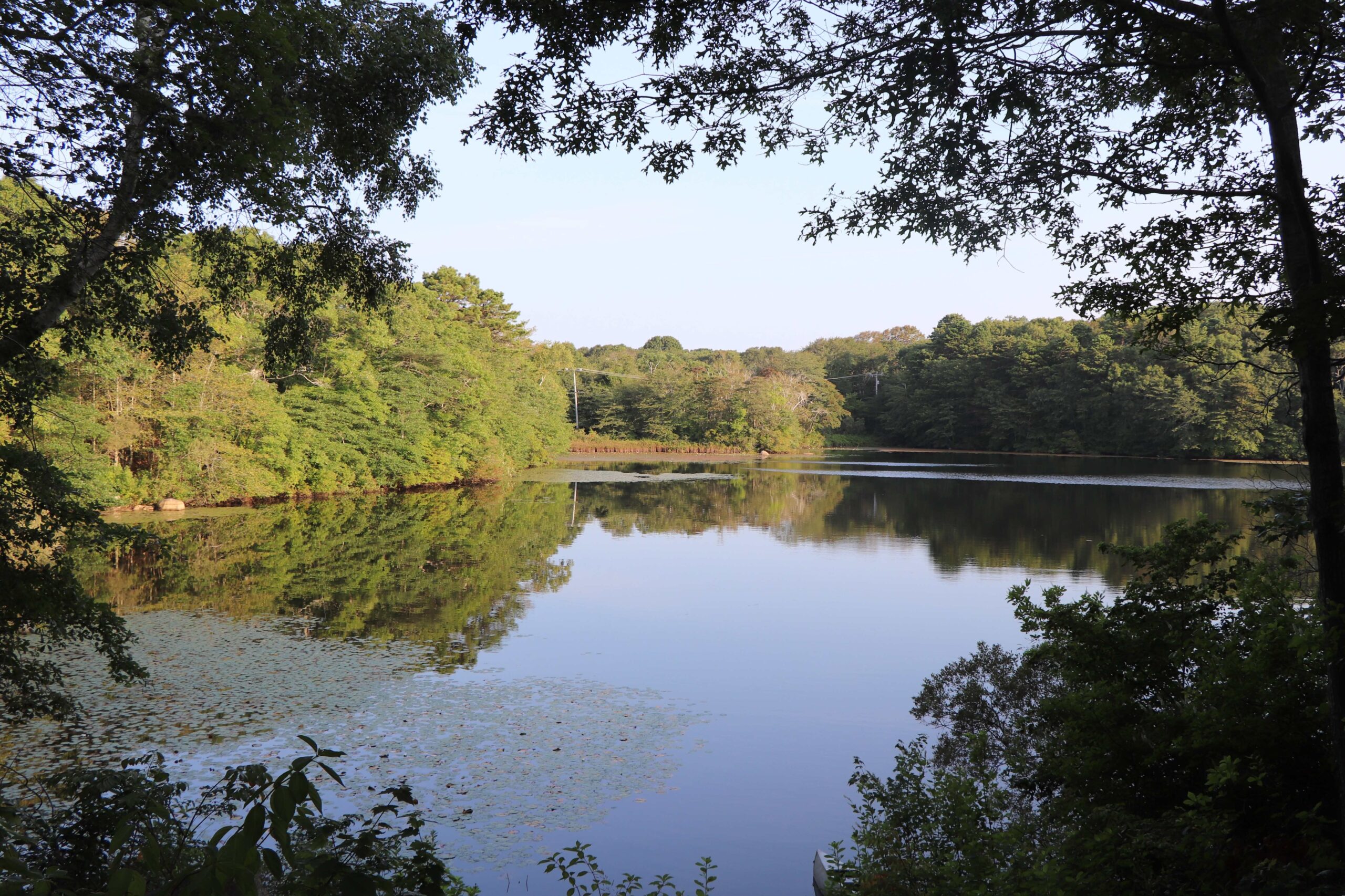 Ice House Pond 081225 3X2