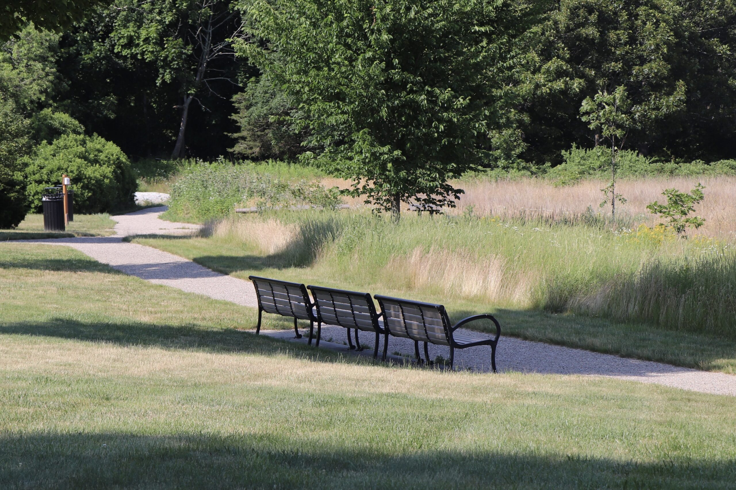 teaticket_park