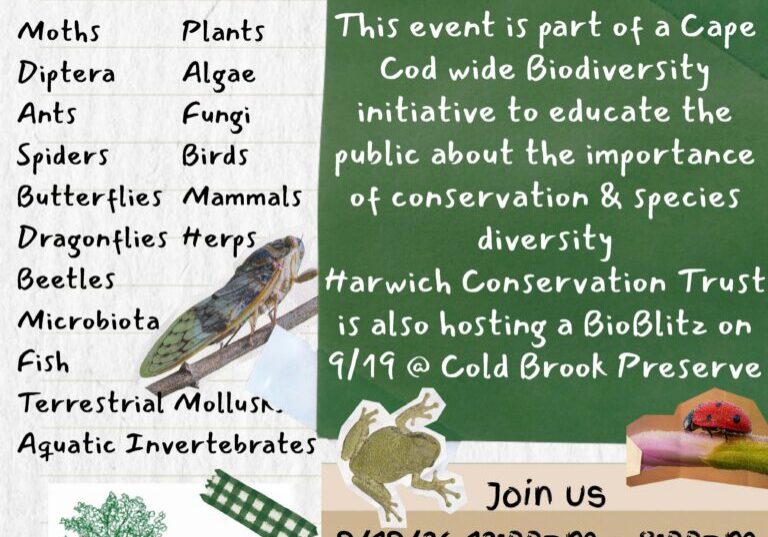 BioBlitz (1)