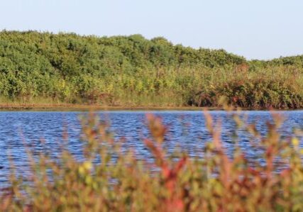 Flume Pond 0825 (6) - pano