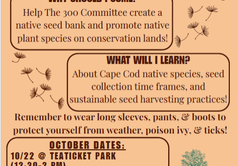 Native Seed Collection Flyer Image