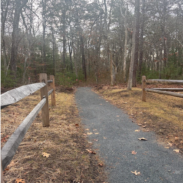 Trail Entrance_10_05 26